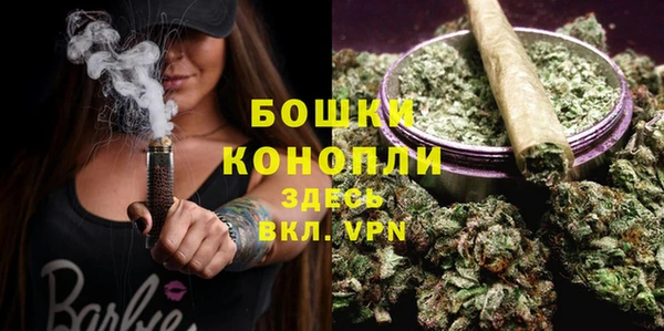 альфа пвп Гусь-Хрустальный