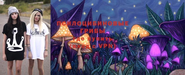прущая мука Гусиноозёрск